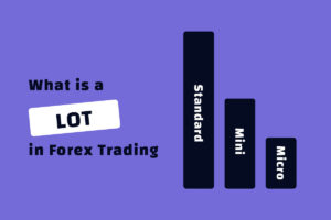 What-is-a-LOT-or-Lotsize-in-Forex-trading-ForexFXM-Signals